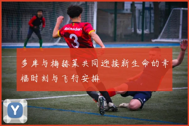 多库与梅赫莱共同迎接新生命的幸福时刻与飞行安排