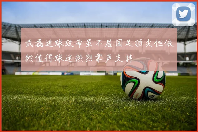 武磊进球效率虽不居国足顶尖但依然值得球迷热烈掌声支持